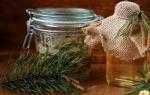 Чай из сосновых иголок. Народная медицина. шишки, пыльца сосны.: хвойный чай. Настойка хвои сосны