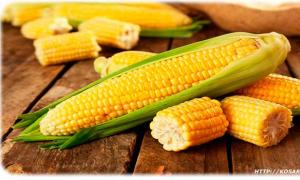 Диета при диарее - снимаем нагрузку с органов пищеварения Какую же пользу приносит кукуруза для организма