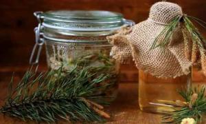 Чай из сосновых иголок. Народная медицина. шишки, пыльца сосны.: хвойный чай. Настойка хвои сосны